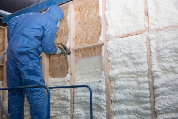 Best Eco-Friendly or Green Insulation Solutions in Sun City Center, FL